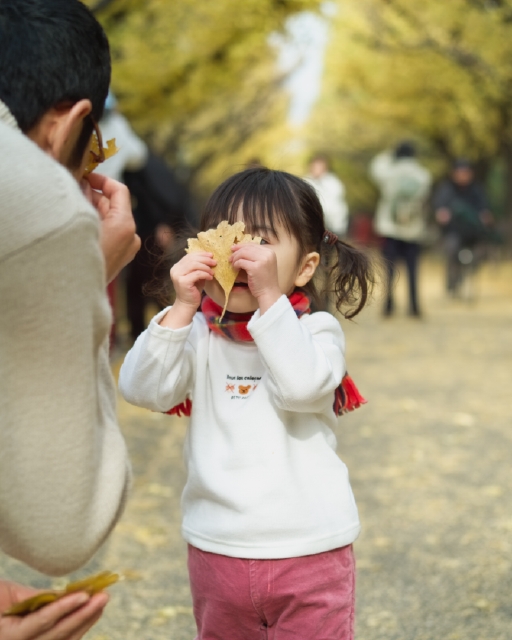 イラスト＆写真のストックフォトwaha（ワーハ）　人物、日本人、秋、公園、親子、屋外、正面、上半身、2人、女の子、幼児、マフラー、散歩、落ち葉、遊ぶ、目隠し、楽しい、あそぶ、あそび、遊ぶ、遊び、季節、四季　p8-0092b-data