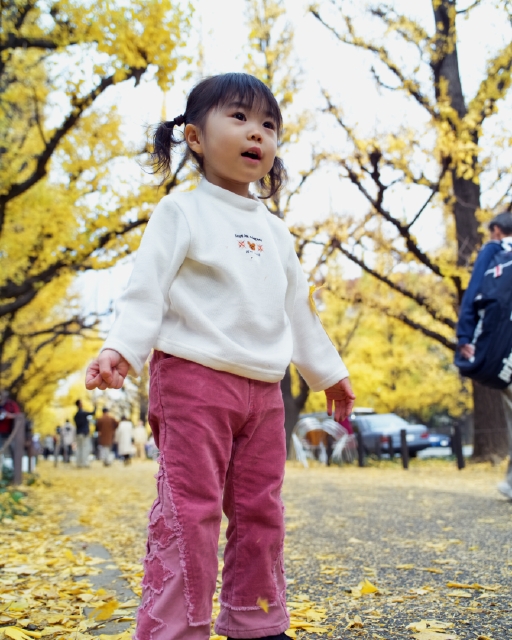 イラスト＆写真のストックフォトwaha（ワーハ）　人物、日本人、子供、秋、公園、屋外、正面、上半身、ローアングル、幼児、散歩、遊ぶ、落ち葉、はしゃぐ、両手を広げる、あそぶ、あそび、遊ぶ、遊び、季節、四季、子ども、こども　p8-0109b-data