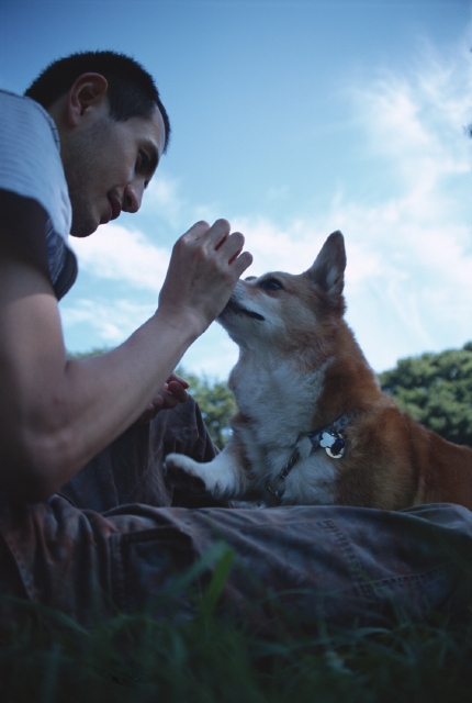 イラスト＆写真のストックフォトwaha（ワーハ）　人物、日本人、公園、ペット、屋外、横向き、横顔、上半身、ローアングル、20代、30代、男性、犬、散歩、広場、リラックス、休憩、遊ぶ、青空、あそぶ、あそび、遊ぶ、遊び　p8-0966b-data