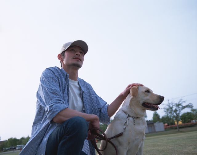 人物 日本人 ペット 公園 男性 代 30代 夢 考える 屋外 正面 上半身 ローアングル 犬 散歩 広場 頭をなでる 見つめる フォト作品紹介 イラスト 写真のストックフォトwaha ワーハ カンプデータは無料