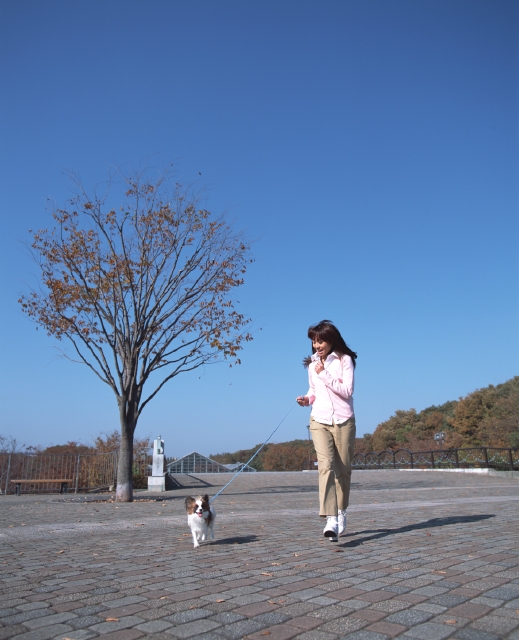人物 日本人 散歩 女性 代 30代 ペット 屋外 正面 全身 犬 公園 広場 歩く ジョギング 走る 元気 青空 フォト作品紹介 イラスト 写真のストックフォトwaha ワーハ カンプデータは無料