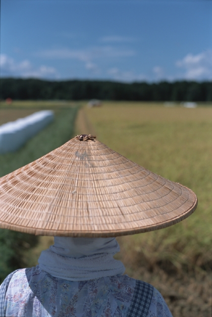 人物 日本人 職業 秋 夢 考える 人物イメージ 屋外 背中 上半身 女性 農業 稲作 田んぼ 米 稲穂 育てる 栽培 田舎 収穫 自然 稲刈り 青空 日除け笠 職業 仕事 季節 四季 フォト作品紹介 イラスト 写真のストックフォトwaha ワーハ