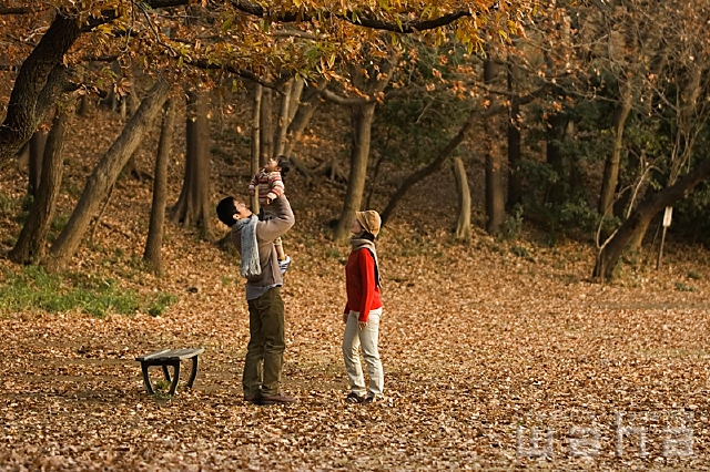 イラスト＆写真のストックフォトwaha（ワーハ）　人物、日本人、冬、秋、家族、公園、季節、四季、季節、四季　pc1-0008b