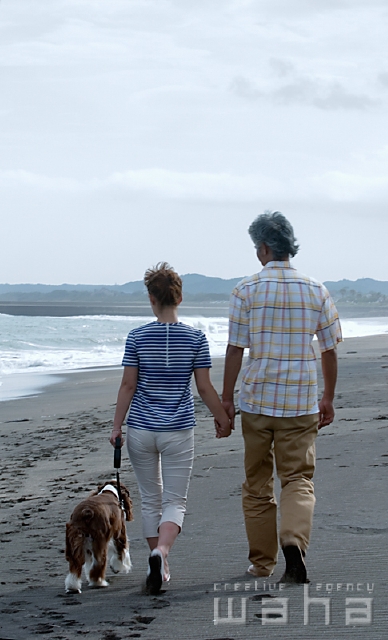 人物 日本人 夫婦 ペット 夏 散歩 季節 四季 海 うみ 海岸 フォト作品紹介 イラスト 写真のストックフォトwaha ワーハ カンプデータは無料