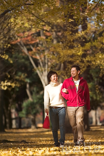 イラスト＆写真のストックフォトwaha（ワーハ）　人物、日本人、秋、公園、カップル、季節、四季、季節、四季　pg3-0003b