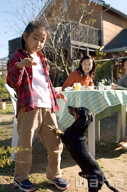 イラスト＆写真のストックフォトwaha（ワーハ）　人物、日本人、秋、ガーデニング、子供、ペット、季節、四季、子ども、こども　pg3-0083b