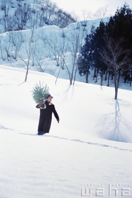 イラスト＆写真のストックフォトwaha（ワーハ）　人物、日本人、冬、クリスマス、男性、20代、30代、歩く、季節、四季、ゆき、雪、行事　pxg-0125b-data