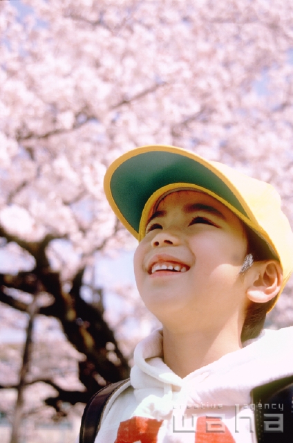 イラスト＆写真のストックフォトwaha（ワーハ）　人物、日本人、春、小学生、夢、考える、記念日、ギフト、贈り物、子供、こども、子ども、季節、四季、桜、さくら、サクラ、花、はな　pxg1-0011b-data