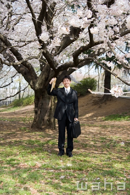 イラスト＆写真のストックフォトwaha（ワーハ）　人物、日本人、春、ビジネス、ビジネスマン、男性、正面、全身、春、公園、鞄、資料、仕事、働く、サラリーマン、季節、四季、桜、さくら、サクラ、花　t8bs-0016b