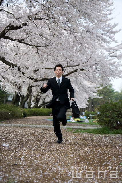 イラスト＆写真のストックフォトwaha（ワーハ）　人物、日本人、春、ビジネス、ビジネスマン、男性、走る、正面、全身、春、公園、鞄、仕事、働く、サラリーマン、季節、四季、桜、さくら、サクラ、花　t8bs-0031b