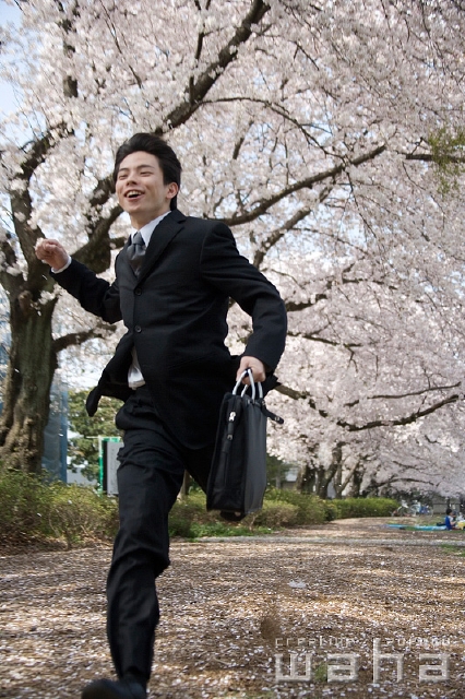 イラスト＆写真のストックフォトwaha（ワーハ）　人物、日本人、春、ビジネス、ビジネスマン、男性、走る、正面、全身、ローアングル、春、公園、鞄、仕事、働く、サラリーマン、季節、四季、桜、さくら、サクラ、花　t8bs-0034b