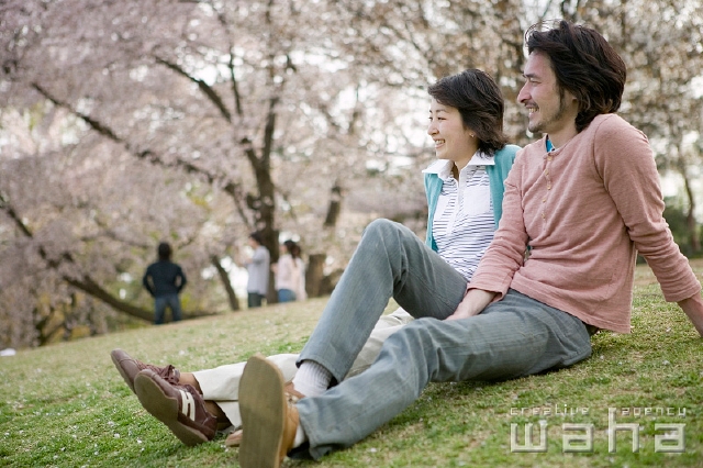 イラスト＆写真のストックフォトwaha（ワーハ）　人物、日本人、親子、公園、横向き、横顔、全身、散歩、休憩、リラックス、楽しい、桜、春、季節、四季、桜、さくら、サクラ、花　t8fm-0062b