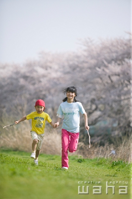 イラスト＆写真のストックフォトwaha（ワーハ）　人物、日本人、春、子供、公園、走る、正面、全身、兄弟、お姉さん、弟、手をつなぐ、走る、そう快、遊ぶ、あそぶ、あそび、遊ぶ、遊び、季節、四季、子ども、こども、桜、さくら、サクラ、花　t8fm-0065b