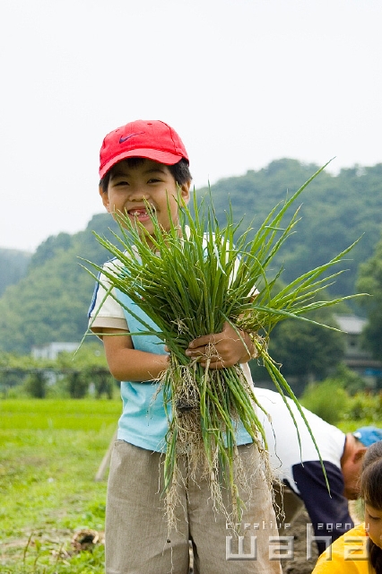イラスト＆写真のストックフォトwaha（ワーハ）　人物、日本人、子供、正面、上半身、農業、お手伝い、田舎、楽しい、嬉しい、子ども、こども　t8fm-0088b