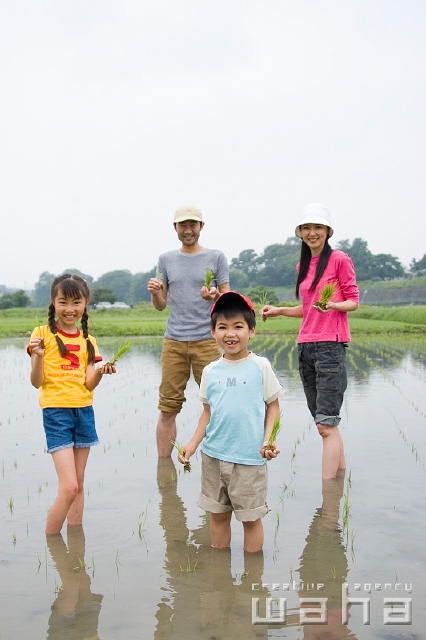 イラスト＆写真のストックフォトwaha（ワーハ）　人物、日本人、家族、正面、全身、農業、田舎、田んぼ、稲、田植え　t8fm-0097b