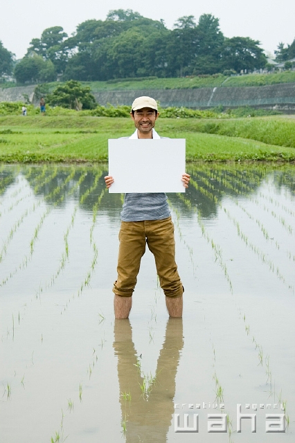 イラスト＆写真のストックフォトwaha（ワーハ）　人物、日本人、男性、20代、30代、メッセージボード、正面、全身、農業、田舎、田んぼ、稲、田植え　t8fm-0108b