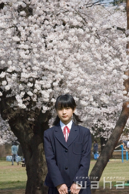 イラスト＆写真のストックフォトwaha（ワーハ）　人物、日本人、春、学生、中学生、高校生、正面、上半身、新入生、季節、四季、桜、さくら、サクラ、花　t8st-0011b