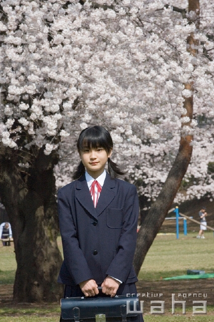 イラスト＆写真のストックフォトwaha（ワーハ）　人物、日本人、春、学生、中学生、高校生、正面、上半身、新入生、季節、四季、桜、さくら、サクラ、花　t8st-0012b