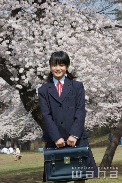 イラスト＆写真のストックフォトwaha（ワーハ）　人物、日本人、春、学生、中学生、高校生、正面、上半身、ローアングル、新入生、季節、四季、桜、さくら、サクラ、花　t8st-0013b