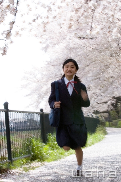 イラスト＆写真のストックフォトwaha（ワーハ）　人物、日本人、春、学生、中学生、走る、正面、全身、ブレ、ローアングル、季節、四季、桜、さくら、サクラ、花　t8st-0014b