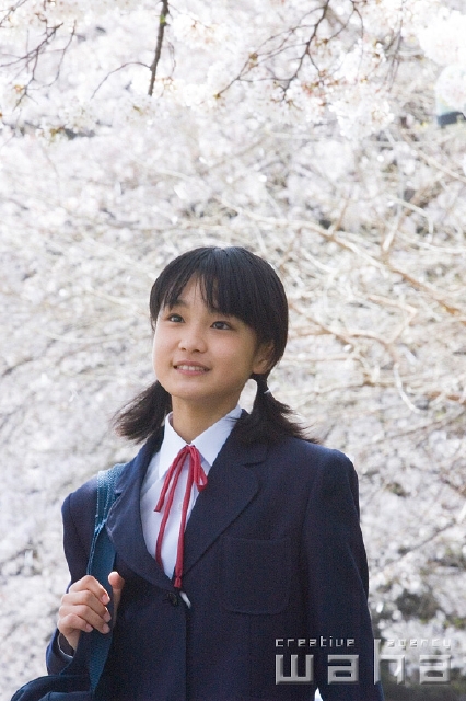 イラスト＆写真のストックフォトwaha（ワーハ）　人物、日本人、春、学生、中学生、正面、上半身、ローアングル、見つめる、季節、四季、桜、さくら、サクラ、花　t8st-0016b