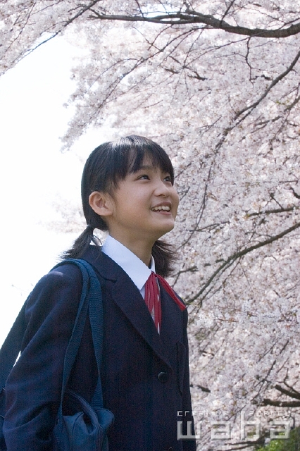 イラスト＆写真のストックフォトwaha（ワーハ）　人物、日本人、春、学生、中学生、横向き、横顔、上半身、ローアングル、見つめる、季節、四季、桜、さくら、サクラ、花　t8st-0019b