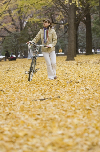 イラスト＆写真のストックフォトwaha（ワーハ）　人物、日本人、女性、20代、30代、1人、屋外、公園、秋、自転車、歩く、全身、散歩、いちょう、銀杏、銀杏並木、いちょう並木、並木道、季節、四季　w1-1049bv