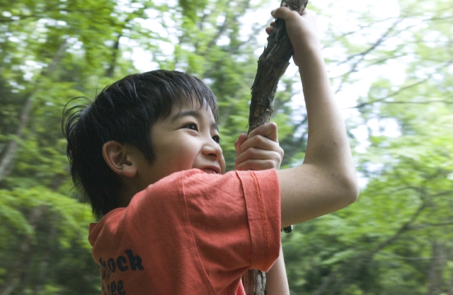 イラスト＆写真のストックフォトwaha（ワーハ）　人物、日本人、子供、男の子、1人、屋外、公園、庭、山、森、アウトドア、遊ぶ、横顔、アップ、あそび、遊ぶ、遊び、あそぶ、遊具、アスレチック、自然、電車、こども、子ども、子供　w1-3304bv