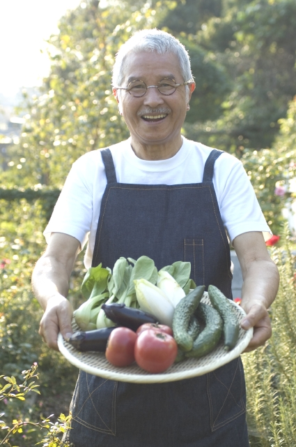 イラスト＆写真のストックフォトwaha（ワーハ）　人物、日本人、男性、シニア、1人、屋外、庭、ガーデニング、収穫、持つ、野菜、上半身、正面、笑顔、笑い、笑う、スマイル　w1-3415bv
