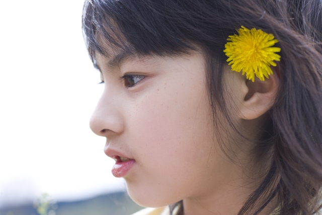 イラスト＆写真のストックフォトwaha（ワーハ）　人物、日本人、子供、女の子、1人、屋外、アウトドア、横顔、アップ、花　w1-3608bv