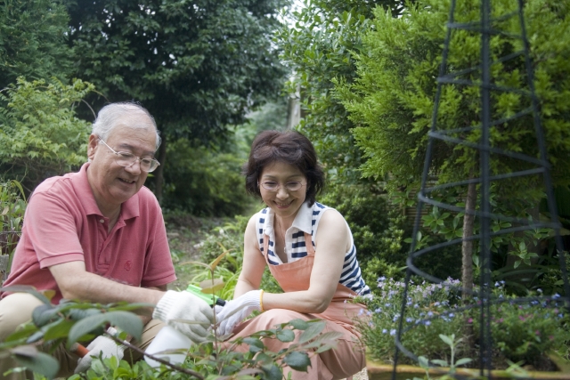 イラスト＆写真のストックフォトwaha（ワーハ）　人物、日本人、男性、女性、夫婦、シニア、2人、屋外、庭、ガーデニング、植物、しゃがむ、見る、霧吹き、みず、水、趣味、しゅみ、電車、こども、子ども、子供　w1-3914bv