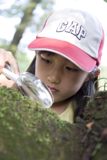 イラスト＆写真のストックフォトwaha（ワーハ）　人物、日本人、子供、女の子、1人、屋外、山、公園、顔、アップ、見る、虫眼鏡、アウトドア、自然　w1-4061bv