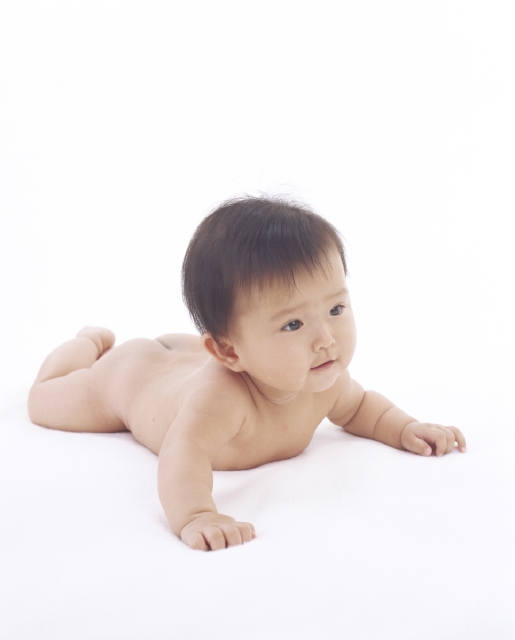 イラスト＆写真のストックフォトwaha（ワーハ）　人物、日本人、赤ちゃん、1人、ハイハイ、全身、白バック　w1-5541bv