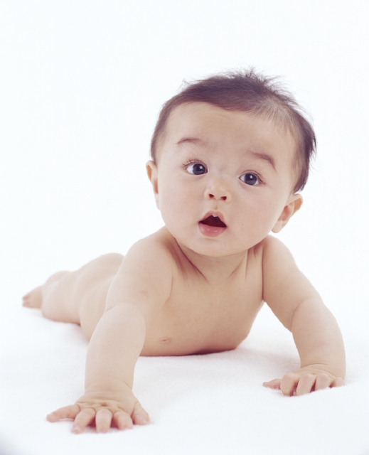 イラスト＆写真のストックフォトwaha（ワーハ）　人物、日本人、赤ちゃん、1人、ハイハイ、全身、正面、白バック、ポートレート　w1-5565bv