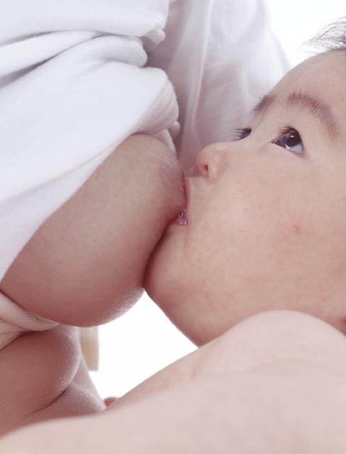 人物 日本人 家族 親子 赤ちゃん 母 2人 抱く 見上げる 飲む アップ 顔 白バック 成長 愛情 フォト作品紹介 イラスト 写真のストックフォトwaha ワーハ カンプデータは無料