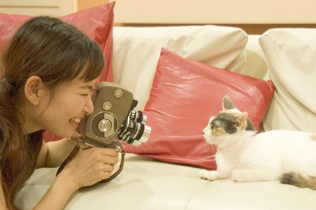 イラスト＆写真のストックフォトwaha（ワーハ）　人物、日本人、女性、若者、ペット、20代、1人、屋内、住宅、家、部屋、リビング、ソファ、趣味、カメラ、動物、猫、顔、横顔、アップ　w1-8416bv