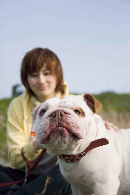 人物 日本人 女性 若者 ペット 犬 10代 代 1人 屋外 草原 座る 散歩 空 青空 上半身 正面 フォト作品紹介 イラスト 写真のストックフォトwaha ワーハ カンプデータは無料