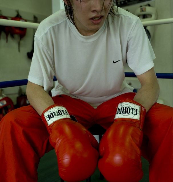 イラスト＆写真のストックフォトwaha（ワーハ）　人物、日本人、若者、男性、20代、1人、屋内、運動、トレーニング、ボクシング　w2-0375bv