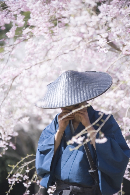 イラスト＆写真のストックフォトwaha（ワーハ）　人物、日本人、男性、30代、1人、屋内、春、桜、和風、さむらい、武士、刀、日本刀、時代劇、歴史、江戸、季節、四季　w2-1221bv