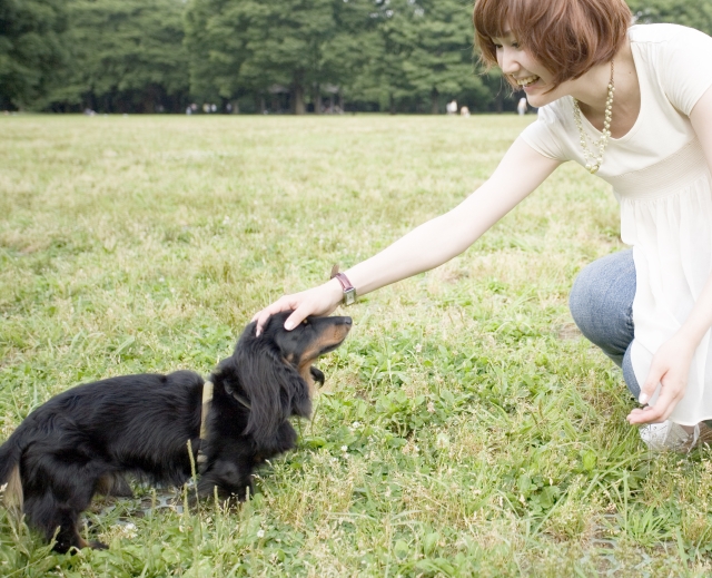 イラスト＆写真のストックフォトwaha（ワーハ）　人物、日本人、女性、若者、ペット、犬、20代、1人、屋外、公園、草原、しゃが　w2-2347bv