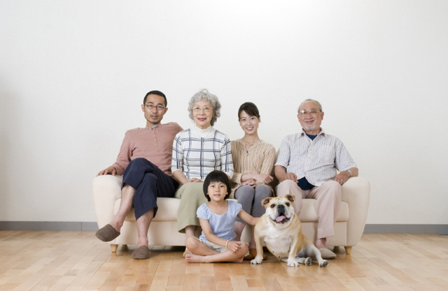 イラスト＆写真のストックフォトwaha（ワーハ）　人物、日本人、家族、3世代、父、母、祖父、祖母、孫、娘、ペット、犬、5人、集合、屋内、住宅、家、リビング、ソファ、座る、正面、全身　w2-4209b