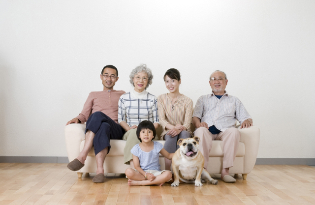 イラスト＆写真のストックフォトwaha（ワーハ）　人物、日本人、家族、3世代、父、母、祖父、祖母、孫、娘、ペット、犬、5人、集合、屋内、住宅、家、リビング、ソファ、座る、正面　w2-4210b