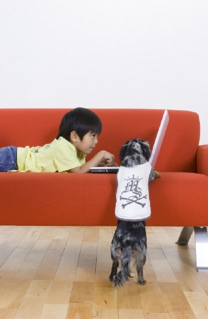 イラスト＆写真のストックフォトwaha（ワーハ）　人物、日本人、子供、男の子、ペット、犬、1人、屋内、住宅、リビング、ソファ、パソコン、横向き　w2-4404b