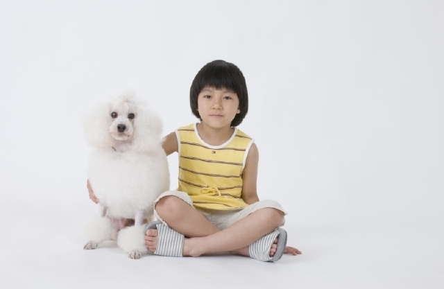 イラスト＆写真のストックフォトwaha（ワーハ）　人物、日本人、子供、女の子、ペット、犬、1人、座る、白バック、全身、正面　w2-4418a