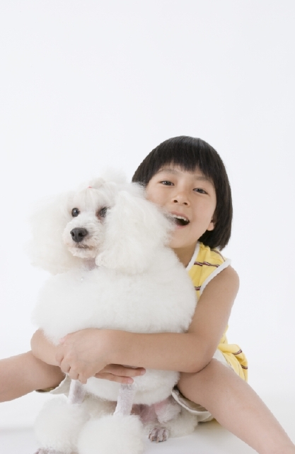 イラスト＆写真のストックフォトwaha（ワーハ）　人物、日本人、子供、女の子、ペット、犬、1人、抱く、白バック、ポートレート　w2-4421a