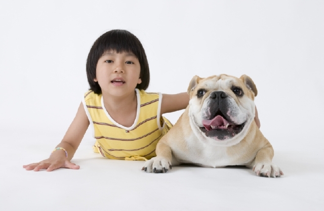 イラスト＆写真のストックフォトwaha（ワーハ）　人物、日本人、子供、女の子、1人、ペット、犬、1人、白バック、正面　w2-4439a