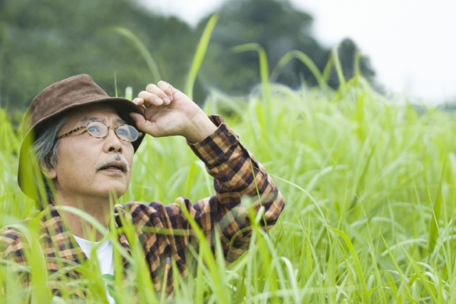 イラスト＆写真のストックフォトwaha（ワーハ）　人物、日本人、中高年、男性、50代、1人、屋外、草原　w2-4740b