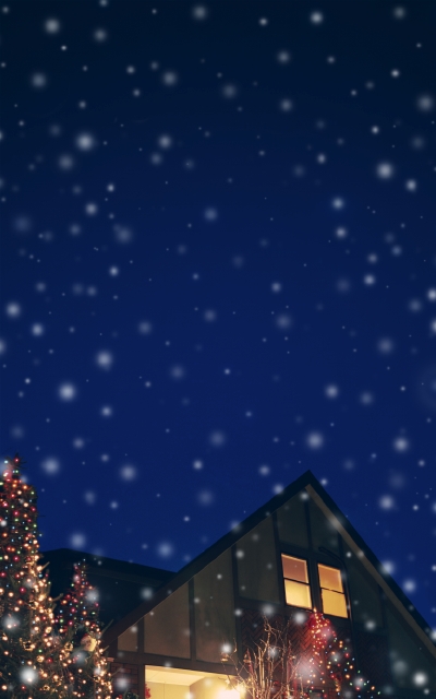 住宅 家 イルミネーション 屋外 クリスマス 夜 夜空 雪 フォト作品紹介 イラスト 写真のストックフォトwaha ワーハ