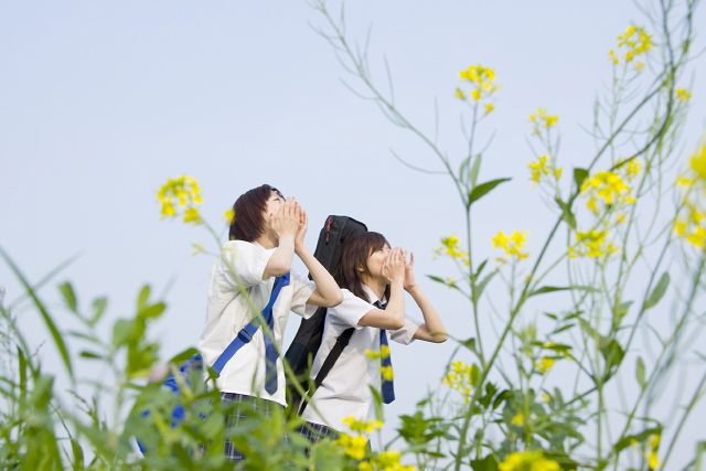 イラスト＆写真のストックフォトwaha（ワーハ）　人物、日本人、女性、学生、高校生、女子高生、友達、10代、2人、屋外、土手、下校、叫ぶ、季節、四季　w2-6602b