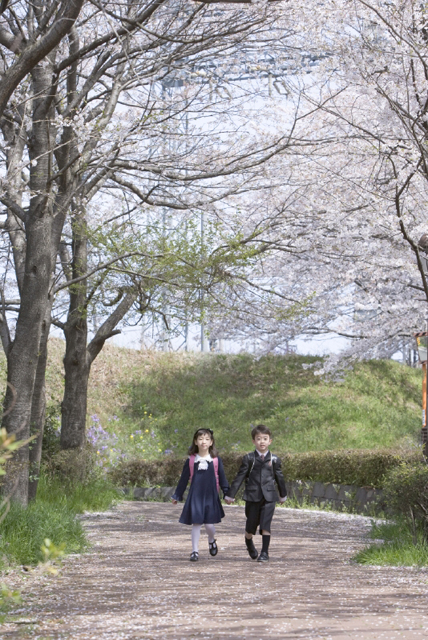 イラスト＆写真のストックフォトwaha（ワーハ）　人物、日本人、学生、小学生、男の子、女の子、2人、友達、屋外、公園、春、入学、桜、通学、歩く、手をつなぐ、全身、正面、子供、子ども、こども、季節、四季　w2-7201b